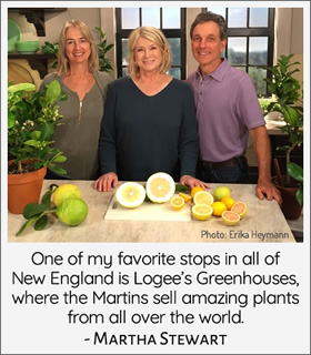 Martha Stewart Visits Logee's