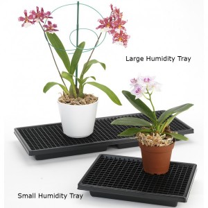 Orchid Humidity Trays