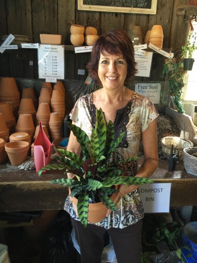 Gwen with a Logee's Rattlesnake plant