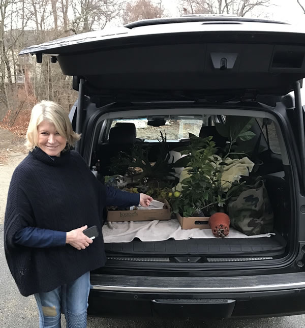 Martha, with her car loaded with plants from Logee's